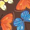 Butterfly Kaleidoscope Autumn macro